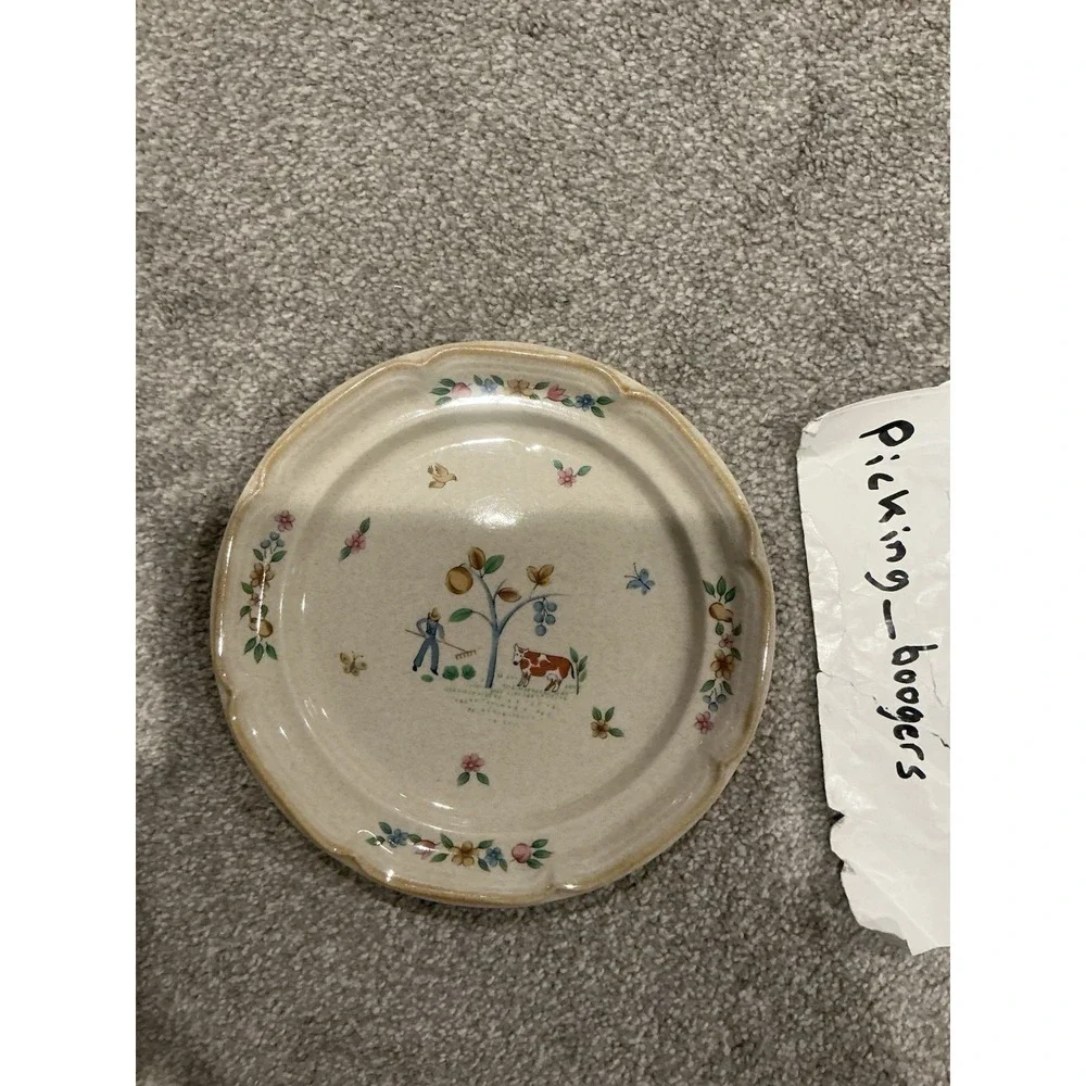 Set of 10 International Heartland Dinner Plate Farmhouse Country Stoneware Sakur